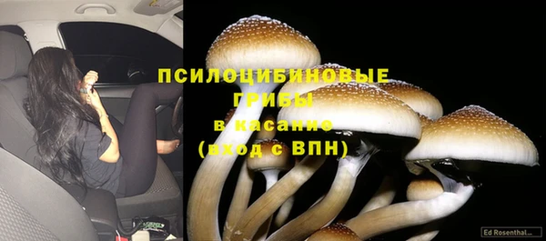 стафф Алзамай