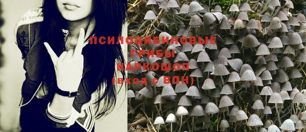 стафф Алзамай