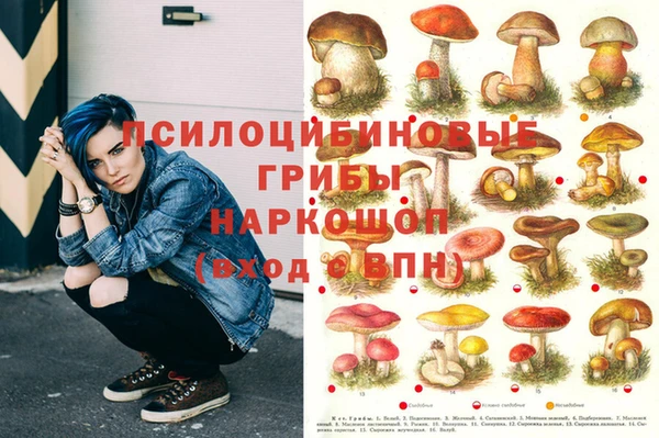 mdpv Алексин
