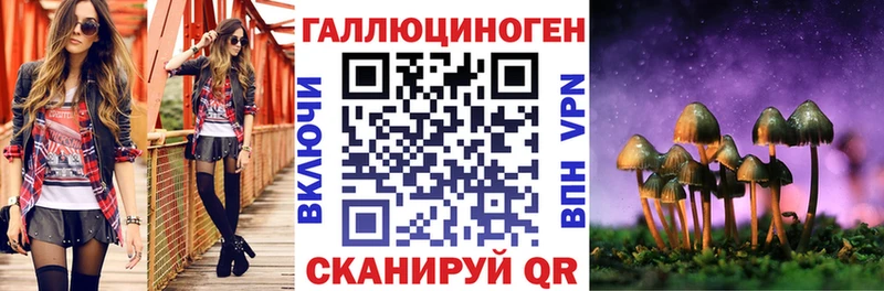 блэк спрут рабочий сайт  Находка  Галлюциногенные грибы MAGIC MUSHROOMS  дарнет шоп 