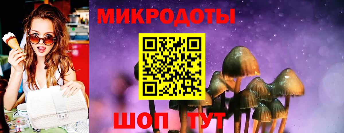 Находка  Псилоцибиновые грибы GOLDEN TEACHER  Вход с VPN 